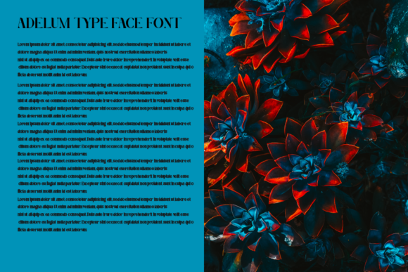 Adelium Font - Preview 2