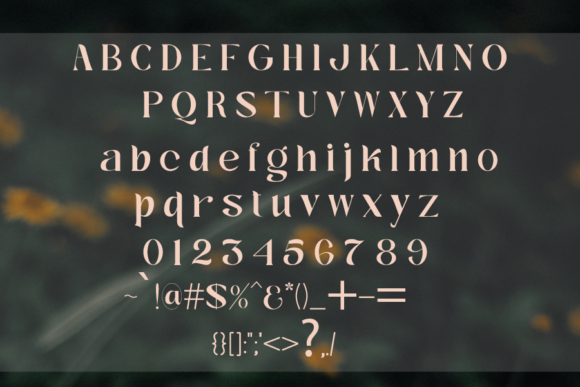 Adelium Font - Preview 3