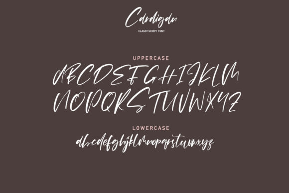 Cardigan Font - Preview 6