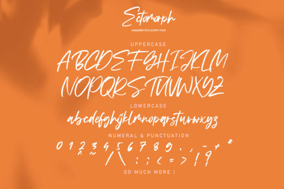 Ectomorph Font - Preview 6