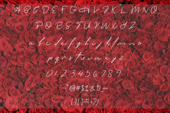 Lauries Font PNG with transparent background - Preview 3