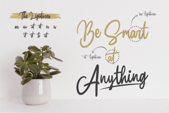 Claston Font - Preview 4
