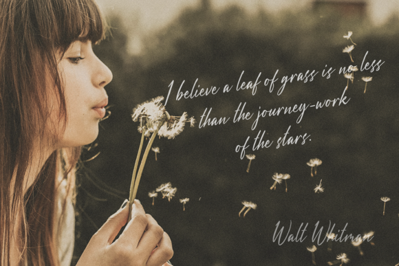 Dandelion Fall Font - Preview 6