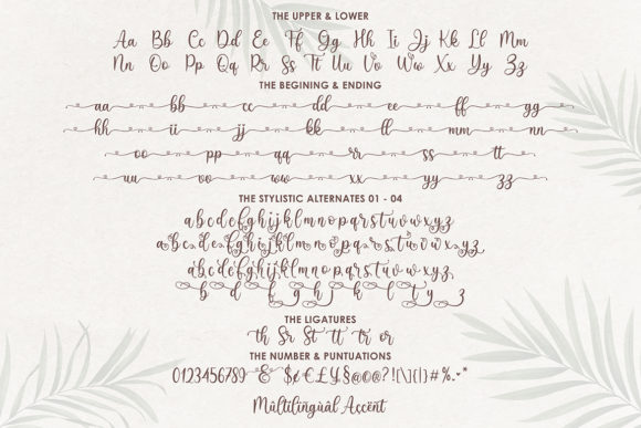 Sefilya Font PNG with transparent background - Preview 4