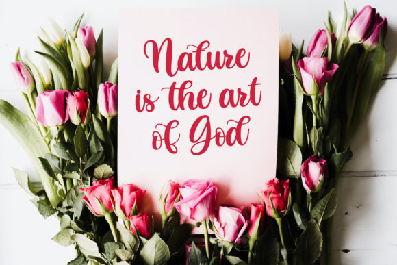 Butterfly Font - Preview 2