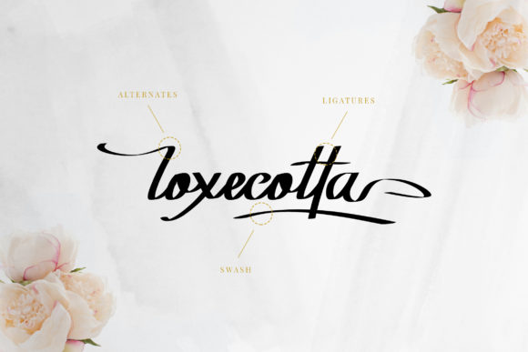Rockyoletta Font PNG with transparent background - Preview 2