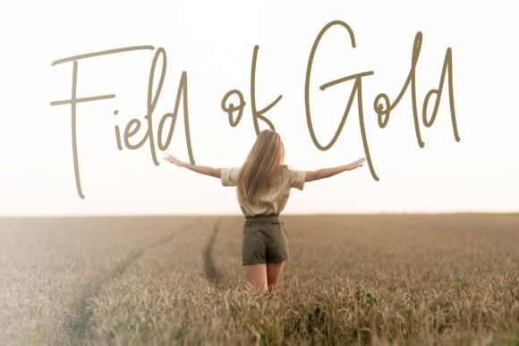 Silver Buttercup Font PNG with transparent background - Preview 3