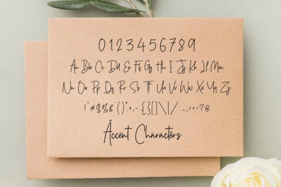 Silver Buttercup Font PNG with transparent background - Preview 4