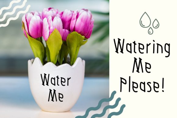 Farm Nary Font PNG with transparent background - Preview 1