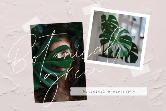 Bedley Font - Preview 2
