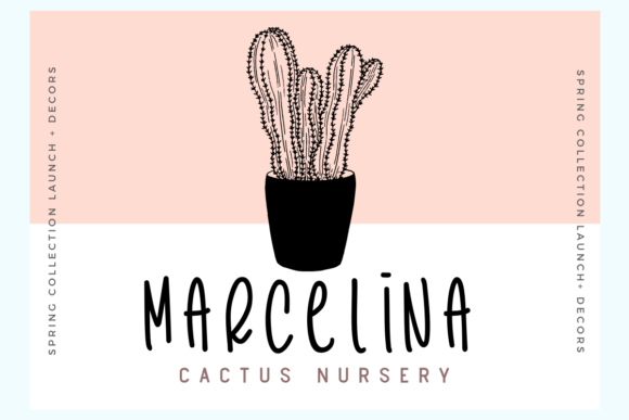 Cactus Story Font - Preview 2