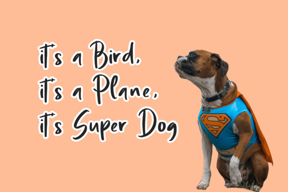 Mogie Font PNG with transparent background - Preview 1