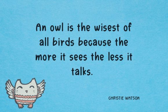 Owl Kids Zone Font PNG with transparent background - Preview 2