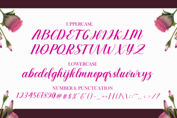 Endogan Font - Preview 6