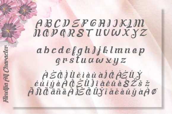 Flinellia Font - Preview 5