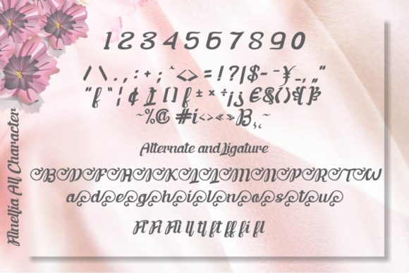 Flinellia Font - Preview 6
