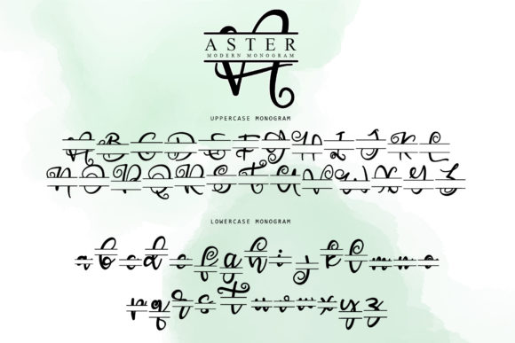 Aster Font - Preview 4