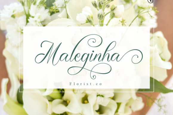Cerlyneeta Font - Preview 2