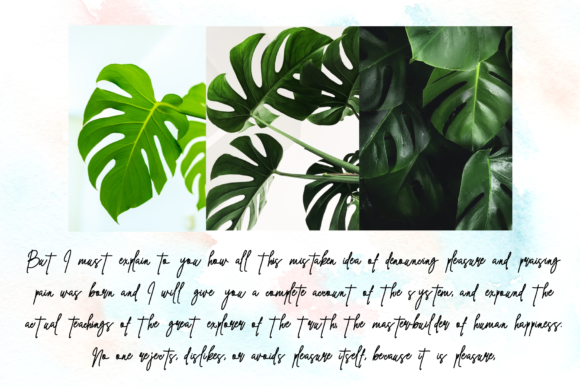 Christmas Font - Preview 2
