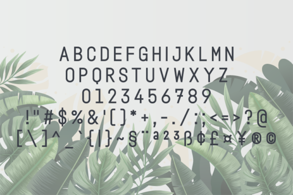 Ducoco Font - Preview 1