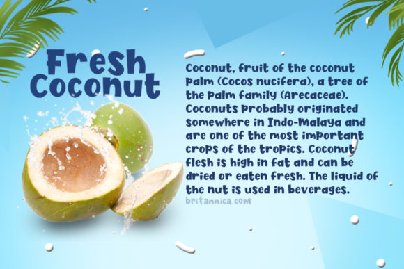 Fresh Coconut Font - Preview 1