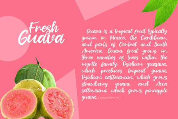 Fresh Guava Font PNG with transparent background - Preview 1