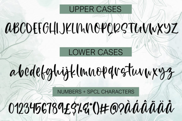 Mikonux a Fun Script with Doodles Font PNG with transparent background - Preview 1