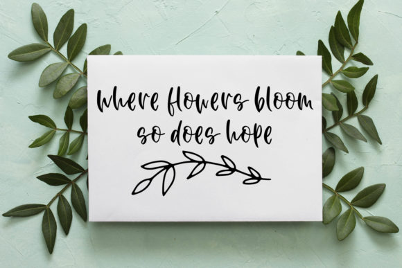 Mikonux a Fun Script with Doodles Font PNG with transparent background - Preview 4