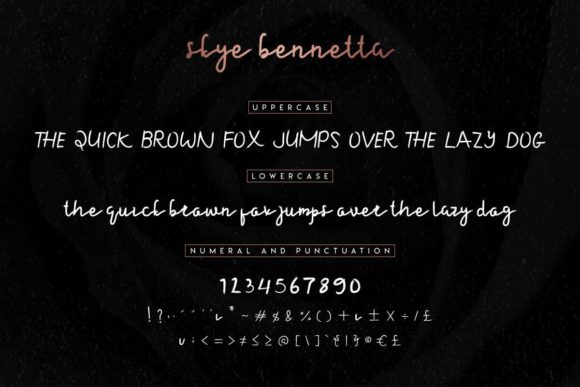 Skye Bennetta Font PNG with transparent background - Preview 4