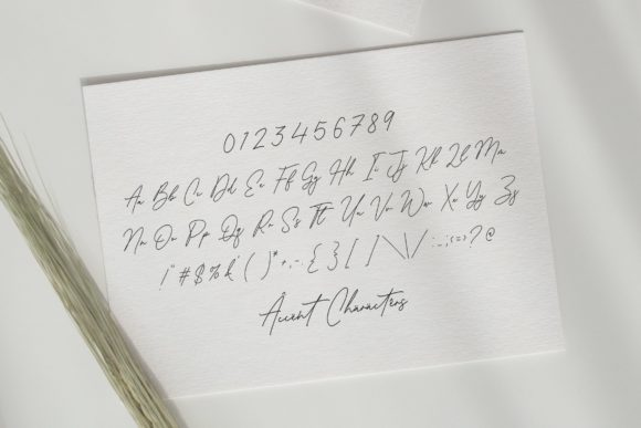Antonio Fischer Font - Preview 5