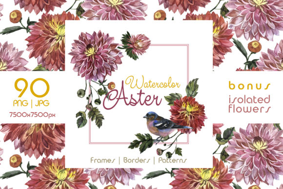 Charming Asters Watercolor Set Graphic Illustrations By MyStocks