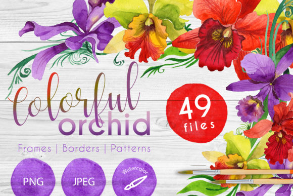 Colorful Orchid Watercolor Set Graphic Illustrations By MyStocks