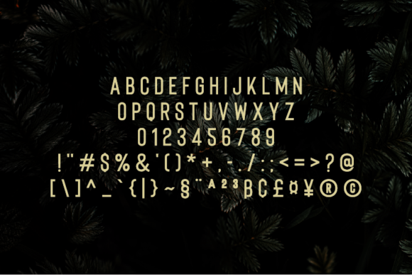 Coolette Font - Preview 2