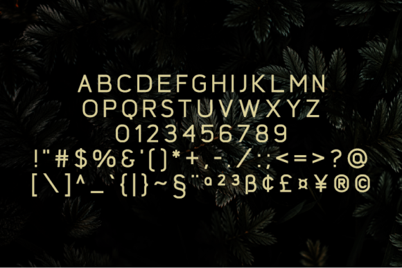 Deotone Font - Preview 2