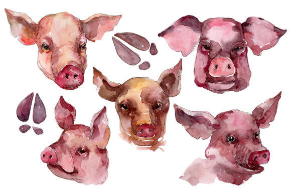 Farm Animals Pig Head Watercolor&nbsp;&nbsp; Graphic Illustrations By MyStocks