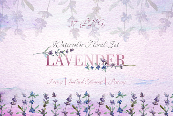 Lavender Violet Watercolor Png Graphic Illustrations By MyStocks