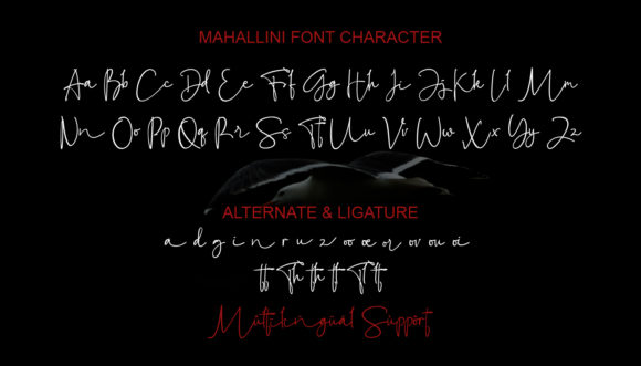 Mahallini Font PNG with transparent background - Preview 1