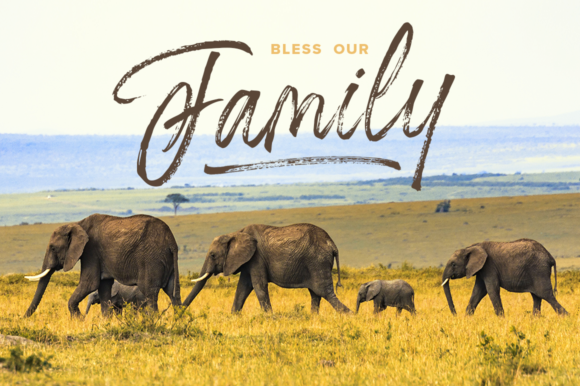 Prayerd Font PNG with transparent background - Preview 2