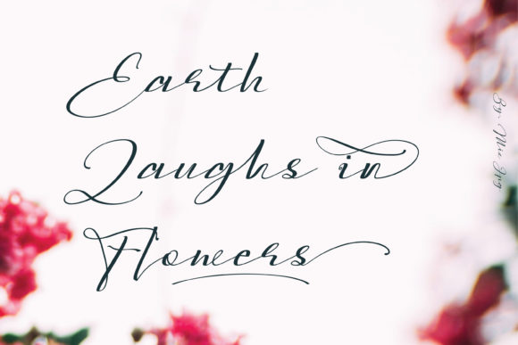 Sarony Font PNG with transparent background - Preview 2