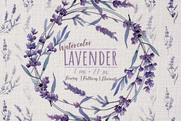 Wonderful Violet Lavender Watercolor Set Graphic Illustrations By MyStocks