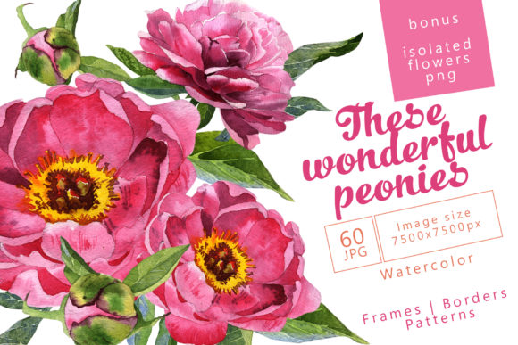Wonderful Peonies Watercolor Set Graphic Illustrations By MyStocks