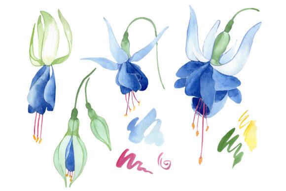 Fuchsia Blue Watercolor Graphic Illustrations By MyStocks