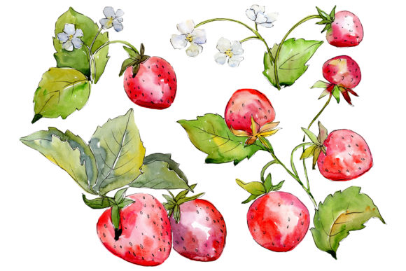 Juicy Strawberry Watercolor Graphic Illustrations By MyStocks