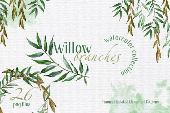 Willow Branches Watercolor Png Gráfico Ilustrações para Impressão Por MyStocks