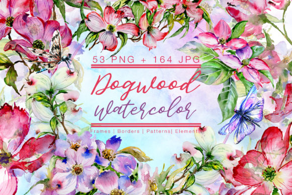 Cool Dogwood Colorful Flower Watercolor Set Graphic Illustrations By MyStocks
