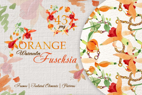 Orange Fuschsia Flower Watercolor Graphic Illustrations By MyStocks