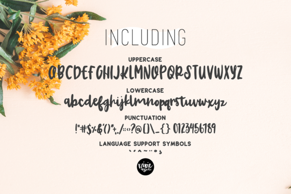 Charlotte Brush Font - Preview 2