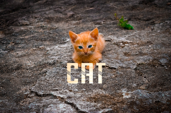 Poster-Portal Font PNG with transparent background - Preview 3
