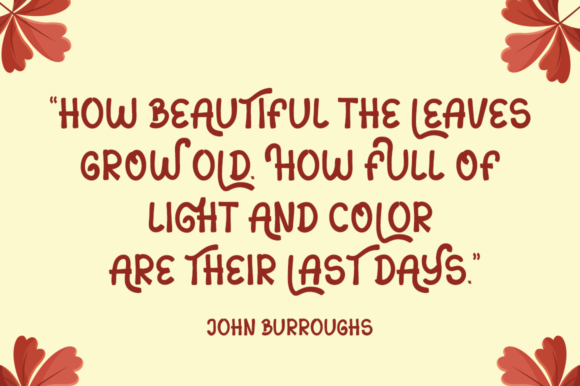 Sans Autumn Font PNG with transparent background - Preview 1