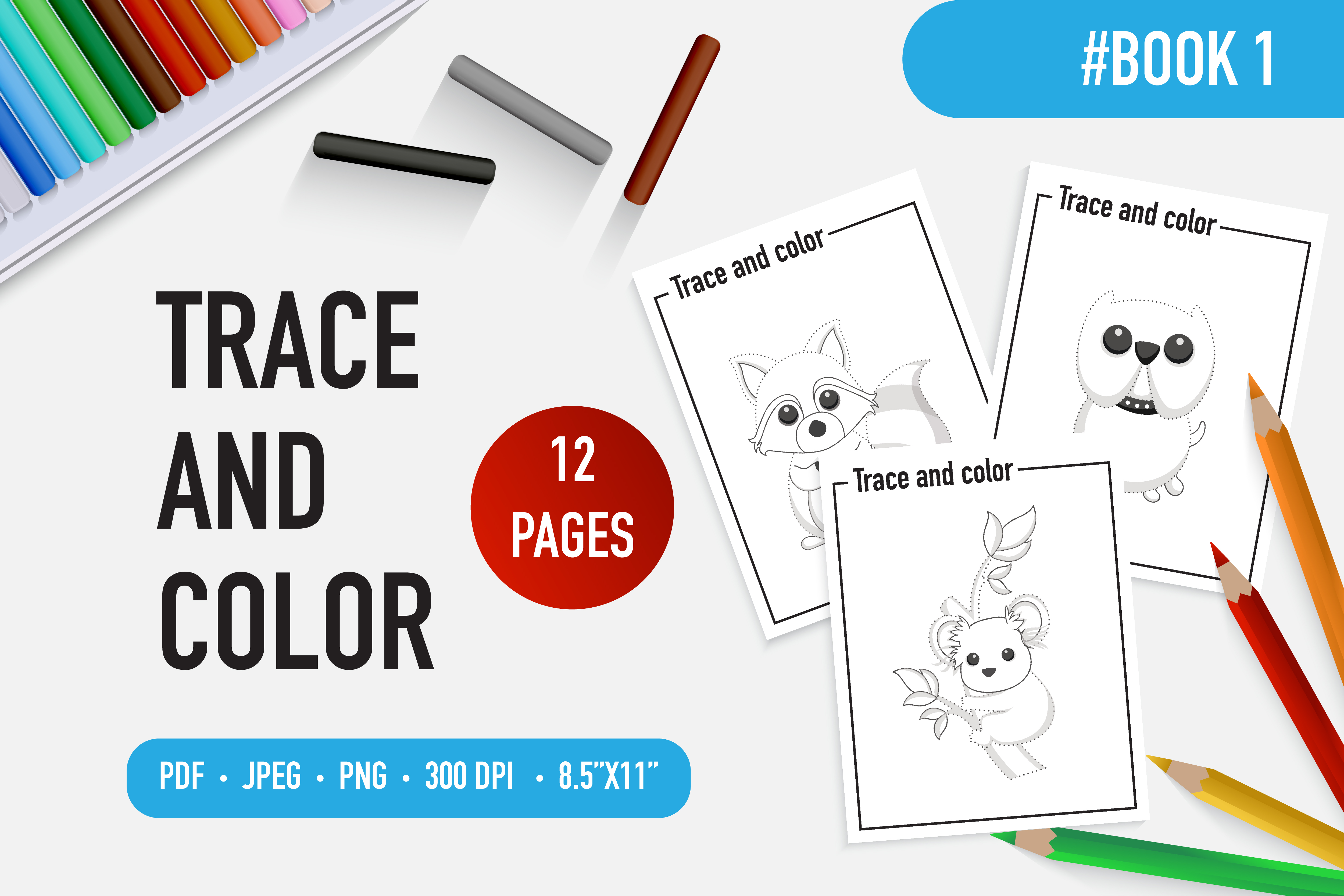 12 Cute Animal Trace and Color Book